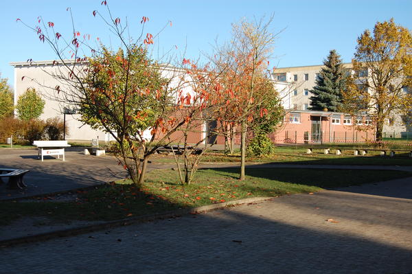 Schulgebäude Dassower Strasse 3